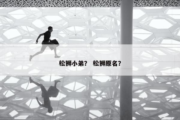 松狮小弟？ 松狮原名？