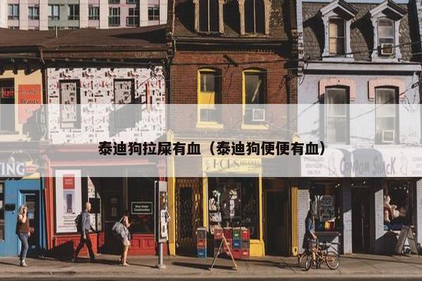 泰迪狗拉屎有血（泰迪狗便便有血）