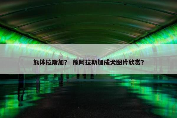 熊体拉斯加？ 熊阿拉斯加成犬图片欣赏？