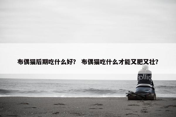 布偶猫后期吃什么好? 布偶猫吃什么才能又肥又壮?