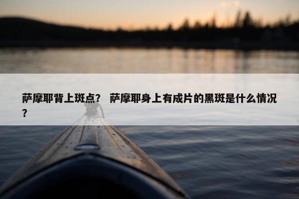 萨摩耶背上斑点？ 萨摩耶身上有成片的黑斑是什么情况？