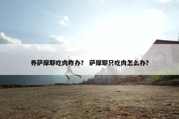 肉类 第4页