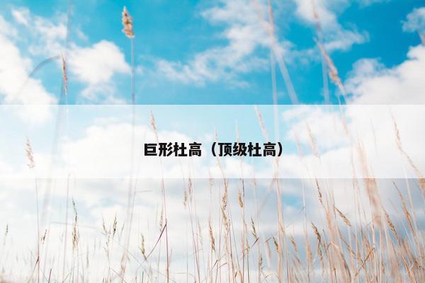 巨形杜高(顶级杜高)