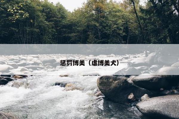 惩罚博美（虐博美犬）