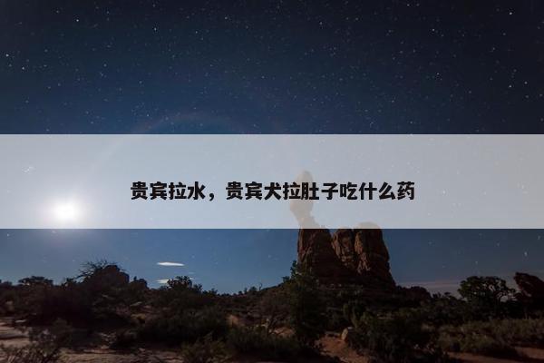 贵宾拉水，贵宾犬拉肚子吃什么药