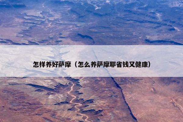 怎样养好萨摩（怎么养萨摩耶省钱又健康）