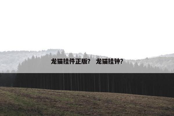 龙猫挂件正版？ 龙猫挂钟？