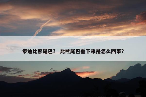 泰迪比熊尾巴？ 比熊尾巴垂下来是怎么回事？