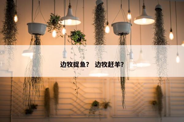 边牧捉鱼？ 边牧赶羊？