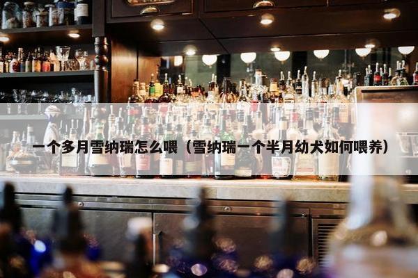 一个多月雪纳瑞怎么喂（雪纳瑞一个半月幼犬如何喂养）