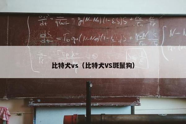 比特犬vs（比特犬VS斑鬣狗）