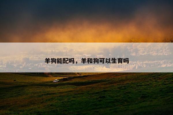 羊狗能配吗，羊和狗可以生育吗