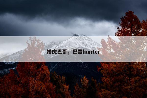 婚庆巴哥，巴哥hunter