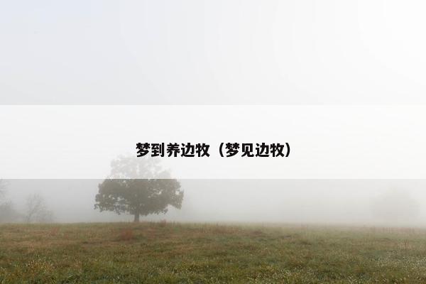 梦到养边牧（梦见边牧）