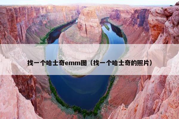 找一个哈士奇emm图（找一个哈士奇的照片）
