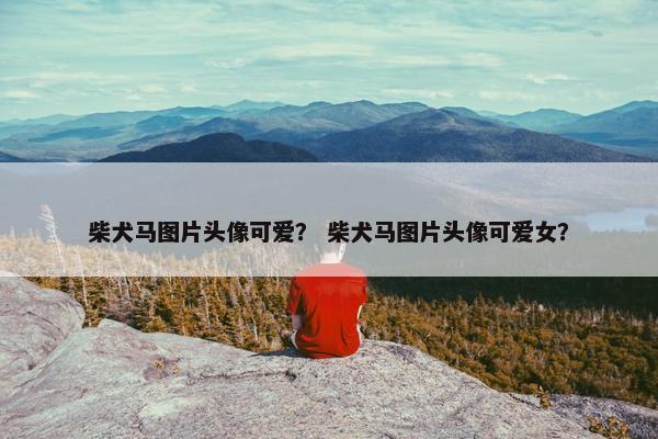 柴犬马图片头像可爱？ 柴犬马图片头像可爱女？