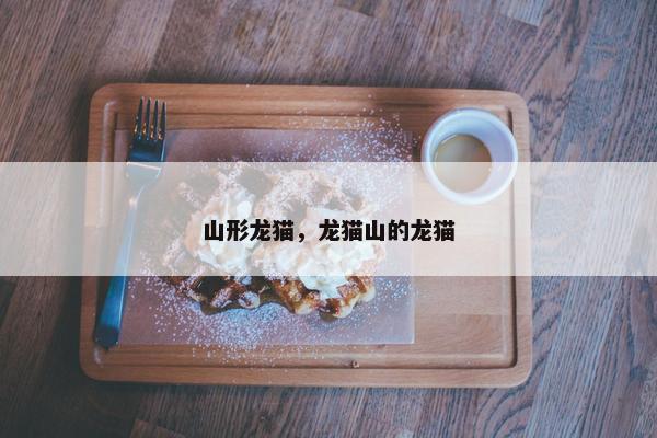山形龙猫，龙猫山的龙猫