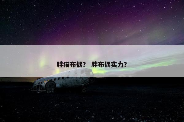 胖猫布偶？ 胖布偶实力？