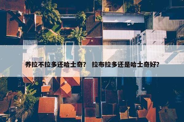 养拉不拉多还哈士奇？ 拉布拉多还是哈士奇好？