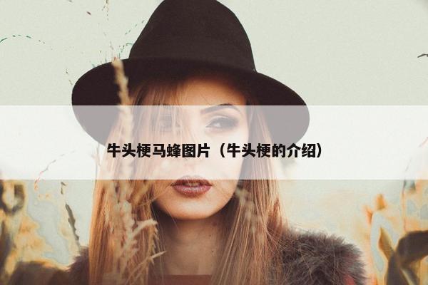 牛头梗马蜂图片（牛头梗的介绍）