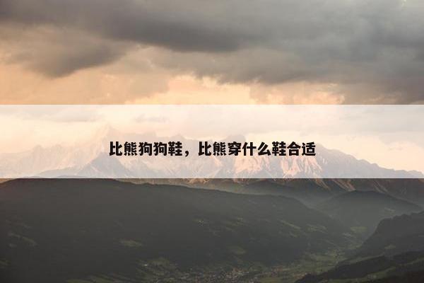 比熊狗狗鞋，比熊穿什么鞋合适