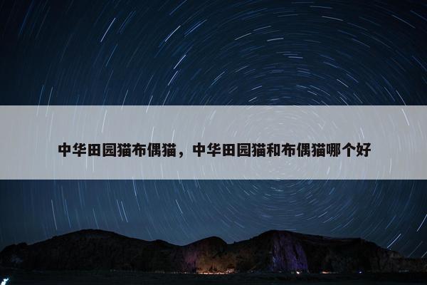 中华田园猫布偶猫，中华田园猫和布偶猫哪个好