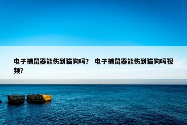 电子捕鼠器能伤到猫狗吗？ 电子捕鼠器能伤到猫狗吗视频？