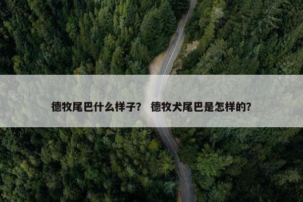 德牧尾巴什么样子？ 德牧犬尾巴是怎样的？