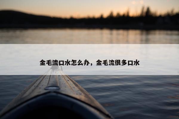 金毛流口水怎么办，金毛流很多口水