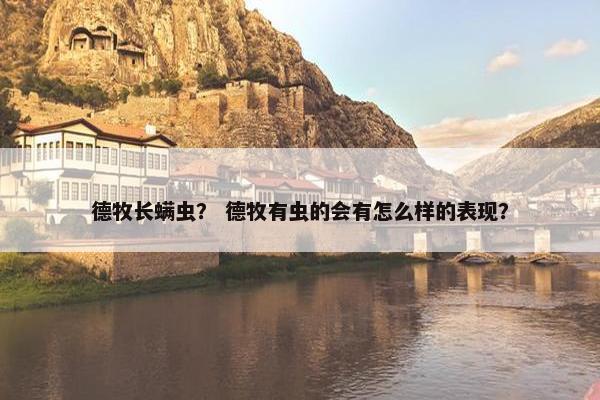 德牧长螨虫？ 德牧有虫的会有怎么样的表现？