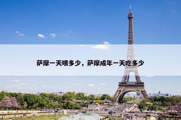 萨摩一天喂多少，萨摩成年一天吃多少