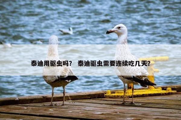 泰迪用驱虫吗？ 泰迪驱虫需要连续吃几天？