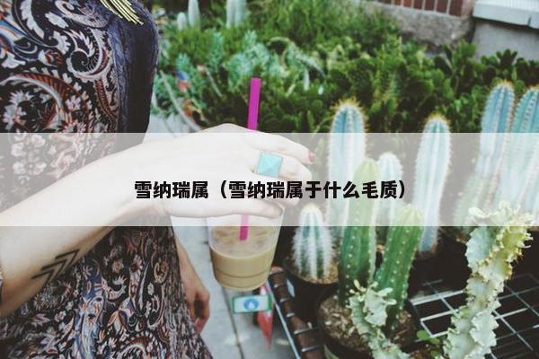 雪纳瑞属（雪纳瑞属于什么毛质）