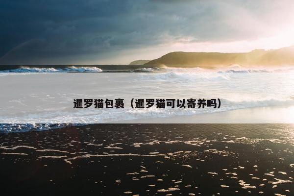 暹罗猫包裹（暹罗猫可以寄养吗）