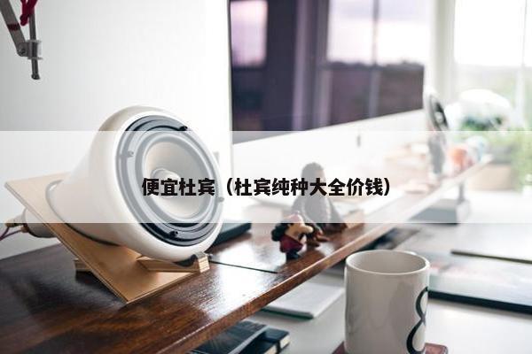 便宜杜宾（杜宾纯种大全价钱）