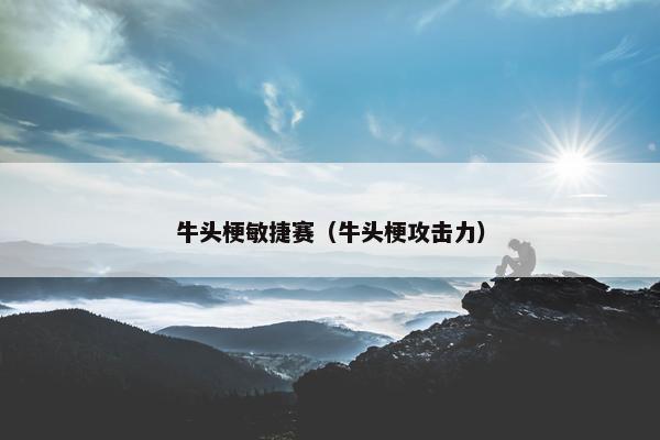 牛头梗敏捷赛（牛头梗攻击力）