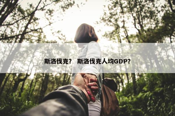斯洛伐克？ 斯洛伐克人均GDP？
