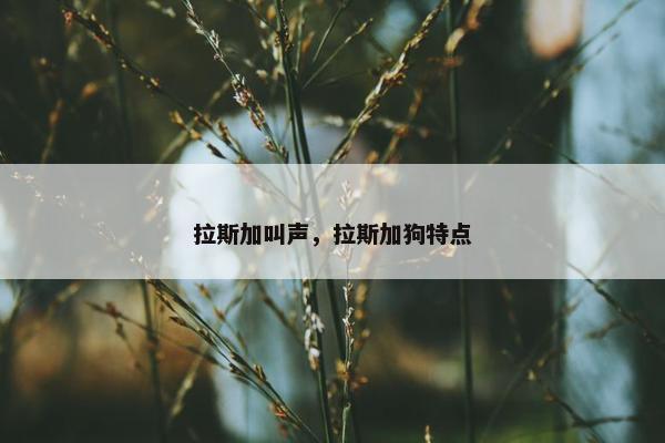 拉斯加叫声，拉斯加狗特点