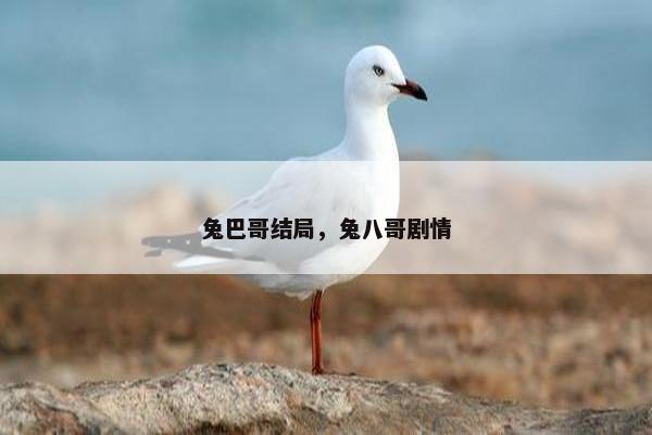 兔巴哥结局，兔八哥剧情