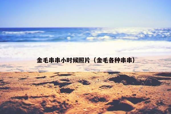 金毛串串小时候照片（金毛各种串串）