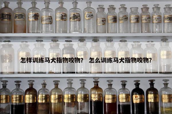比利时 第4页