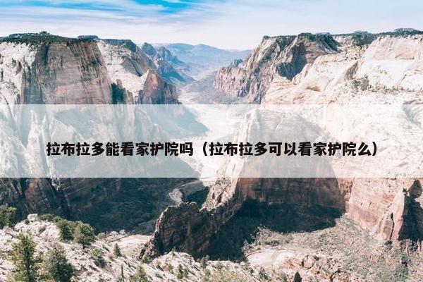 拉布拉多能看家护院吗（拉布拉多可以看家护院么）