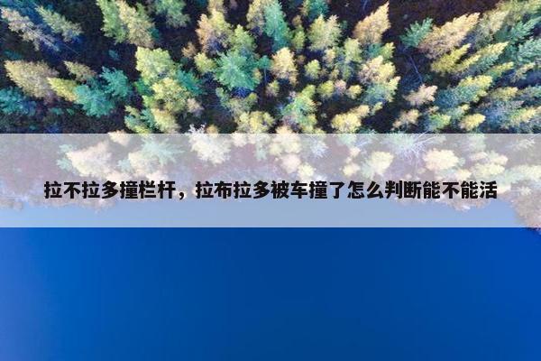 拉不拉多撞栏杆，拉布拉多被车撞了怎么判断能不能活