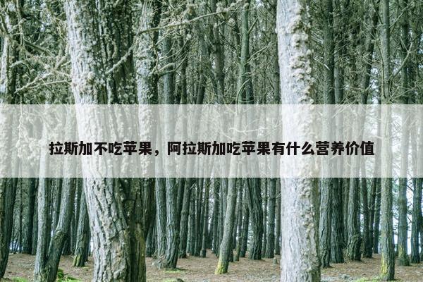 拉斯加不吃苹果，阿拉斯加吃苹果有什么营养价值