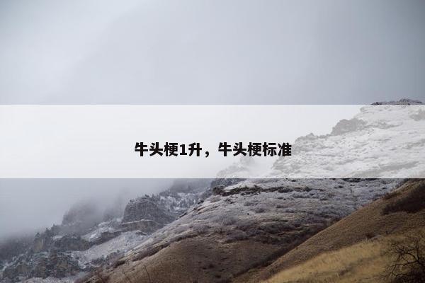 牛头梗1升，牛头梗标准