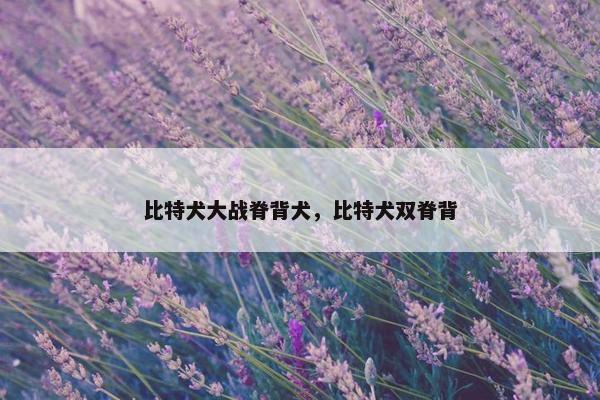 比特犬大战脊背犬，比特犬双脊背