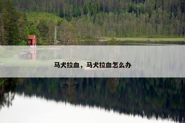 止血药