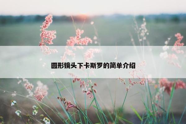 圆形镜头下卡斯罗的简单介绍