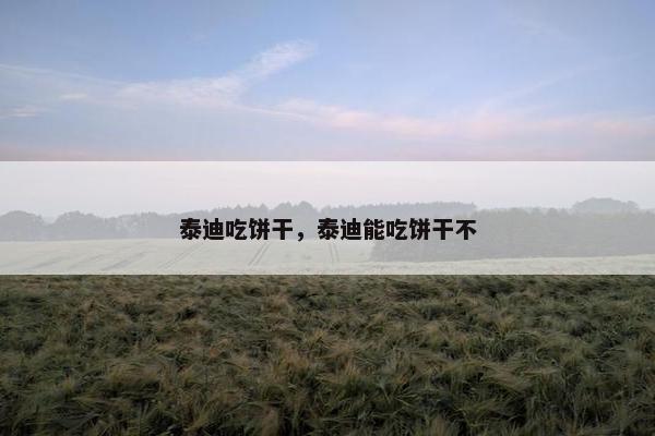 泰迪吃饼干，泰迪能吃饼干不