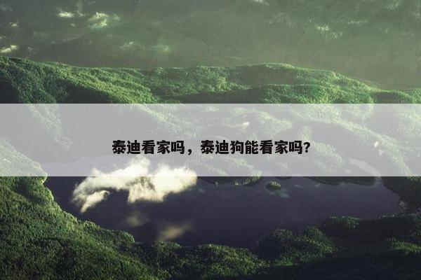 泰迪看家吗，泰迪狗能看家吗?